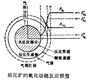 回轉窯硫化礦焙燒模型